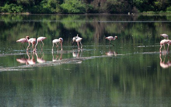 Katwe Tourism Information Centre